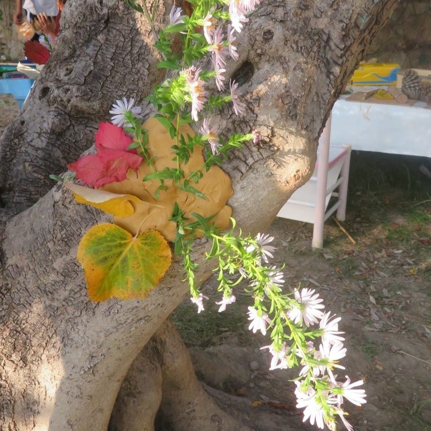 Exposition activité nature manosque
